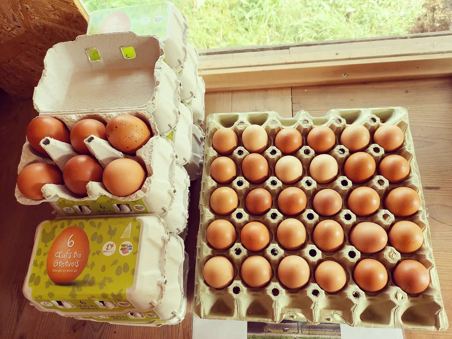 470142603_1137811274725468_6569638408500316062_n